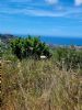 click here to view this property